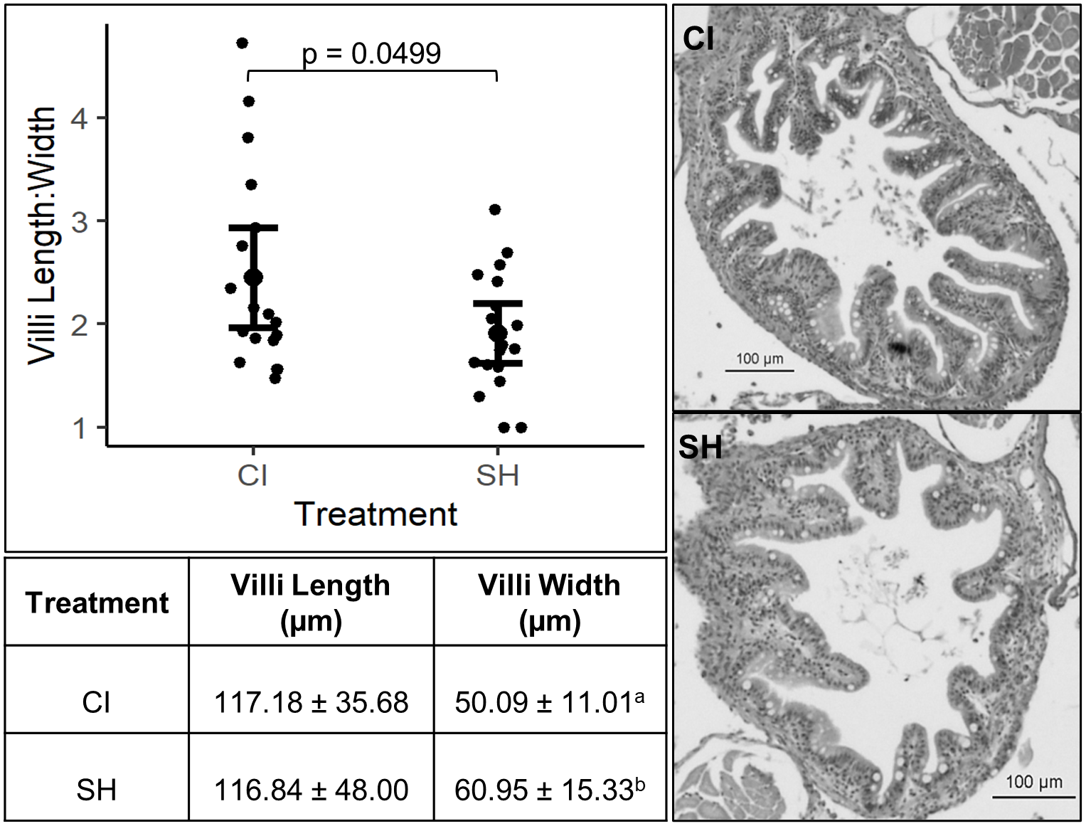 Chronic social isolation affects feeding behavior of juvenile zebrafish (Danio rerio)